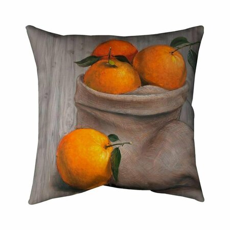 BEGIN HOME DECOR 20 x 20 in. Bag of Oranges-Double Sided Print Indoor Pillow 5541-2020-GA63